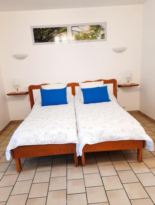Les Albizias 5 Apartamento Eugenie-les-Bains Exterior foto